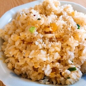 シンプルにじゃこねぎチャーハン